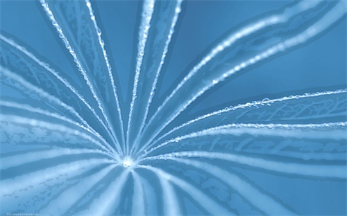活动策划的兼职,关卡策划需与剧情策划紧密配合新手即将入行